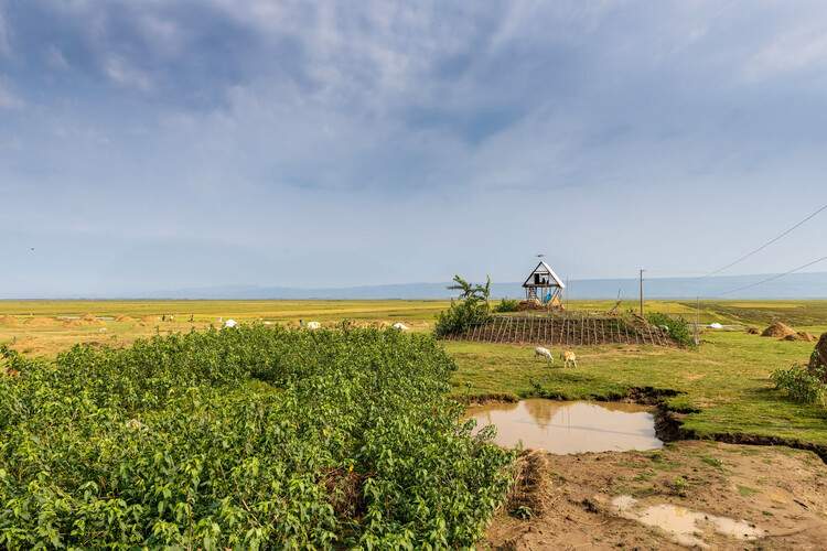 人权日之际：全球视角下的建筑、公平、住房获取与安全问题 - 16 的图像 17