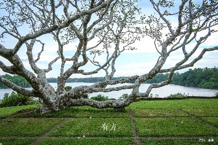 有方2026建筑旅行计划发布 23条线路最高交800抵2000(图15)