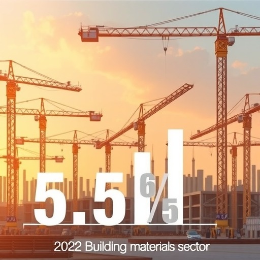 中国经济增速目标定5.5% 探讨实现路径与物价调控(图1)