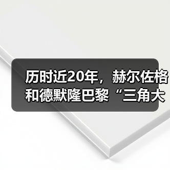 历时近20年，赫尔佐格和德默隆巴黎“三角大厦”封顶（图4）