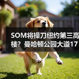 SOM将操刀纽约第三高楼？曼哈顿公园大道175号方案公布（图2）