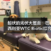 起伏的光伏大屋面：巴西利亚WTC Biotic综合体在建方案（图2）