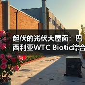 起伏的光伏大屋面：巴西利亚WTC Biotic综合体在建方案（图1）