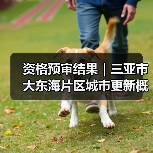 资格预审结果｜三亚市大东海片区城市更新概念规划设计国际竞赛（图1）