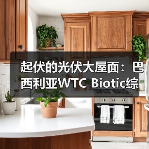 起伏的光伏大屋面：巴西利亚WTC Biotic综合体在建方案（图3）
