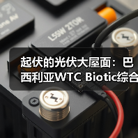 起伏的光伏大屋面：巴西利亚WTC Biotic综合体在建方案（图4）