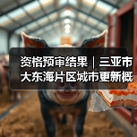 资格预审结果｜三亚市大东海片区城市更新概念规划设计国际竞赛（图4）