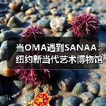 当OMA遇到SANAA：纽约新当代艺术博物馆扩建完成（图1）