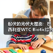 起伏的光伏大屋面：巴西利亚WTC Biotic综合体在建方案（图3）
