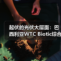 起伏的光伏大屋面:巴西利亚WTC Biotic综合体在建方案(图4) 起伏的光伏大屋面:巴西利亚WTC Biotic综合体在建方案(图4)
