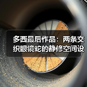多西最后作品：两条交织眼镜蛇的静修空间设计（图4）