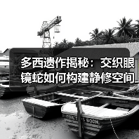多西遗作揭秘：交织眼镜蛇如何构建静修空间？（图4）