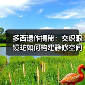 多西遗作揭秘：交织眼镜蛇如何构建静修空间？（图2）