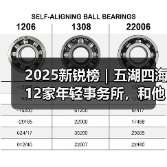 2025新锐榜｜五湖四海12家年轻事务所，和他们的年度答卷（图3）