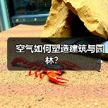 空气如何塑造建筑与园林？（图1）