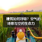 建筑如何呼吸?空气的诗意与空间生命力(图4) 建筑如何呼吸?空气的诗意与空间生命力(图4)