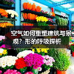 空气如何重塑建筑与景观？形的呼吸探析（图2）