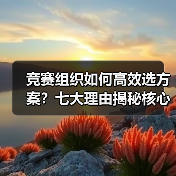 竞赛组织如何高效选方案?七大理由揭秘核心优势(图1) 竞赛组织如何高效选方案?七大理由揭秘核心优势(图1)