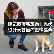 建筑屋顶新革命！光伏设计大赛如何重塑绿色未来（图4）