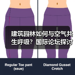 建筑园林如何与空气共生呼吸？国际论坛探讨新设计思维（图2）