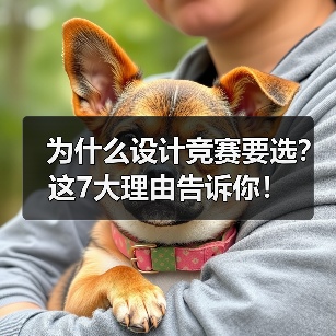 为什么设计竞赛要选?这7大理由告诉你!(图4) 为什么设计竞赛要选?这7大理由告诉你!(图4)