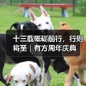 十三载砥砺前行,行则将至|有方周年庆典(图1) 十三载砥砺前行,行则将至|有方周年庆典(图1)