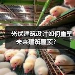 光伏建筑设计如何重塑未来建筑屋顶?(图1) 光伏建筑设计如何重塑未来建筑屋顶?(图1)