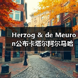 Herzog & de Meuron公布卡塔尔阿尔马哈岛总体规划(图1) Herzog & de Meuron公布卡塔尔阿尔马哈岛总体规划(图1)