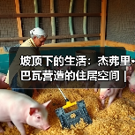 坡顶下的生活:杰弗里·巴瓦营造的住居空间|旅行讲堂18介绍(图1) 坡顶下的生活:杰弗里·巴瓦营造的住居空间|旅行讲堂18介绍(图1)