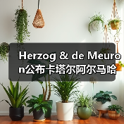 Herzog & de Meuron公布卡塔尔阿尔马哈岛总体规划(图4) Herzog & de Meuron公布卡塔尔阿尔马哈岛总体规划(图4)