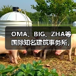 OMA、BIG、ZHA等国际知名建筑事务所,共筑阿尔巴尼亚天际线(图4) OMA、BIG、ZHA等国际知名建筑事务所,共筑阿尔巴尼亚天际线(图4)